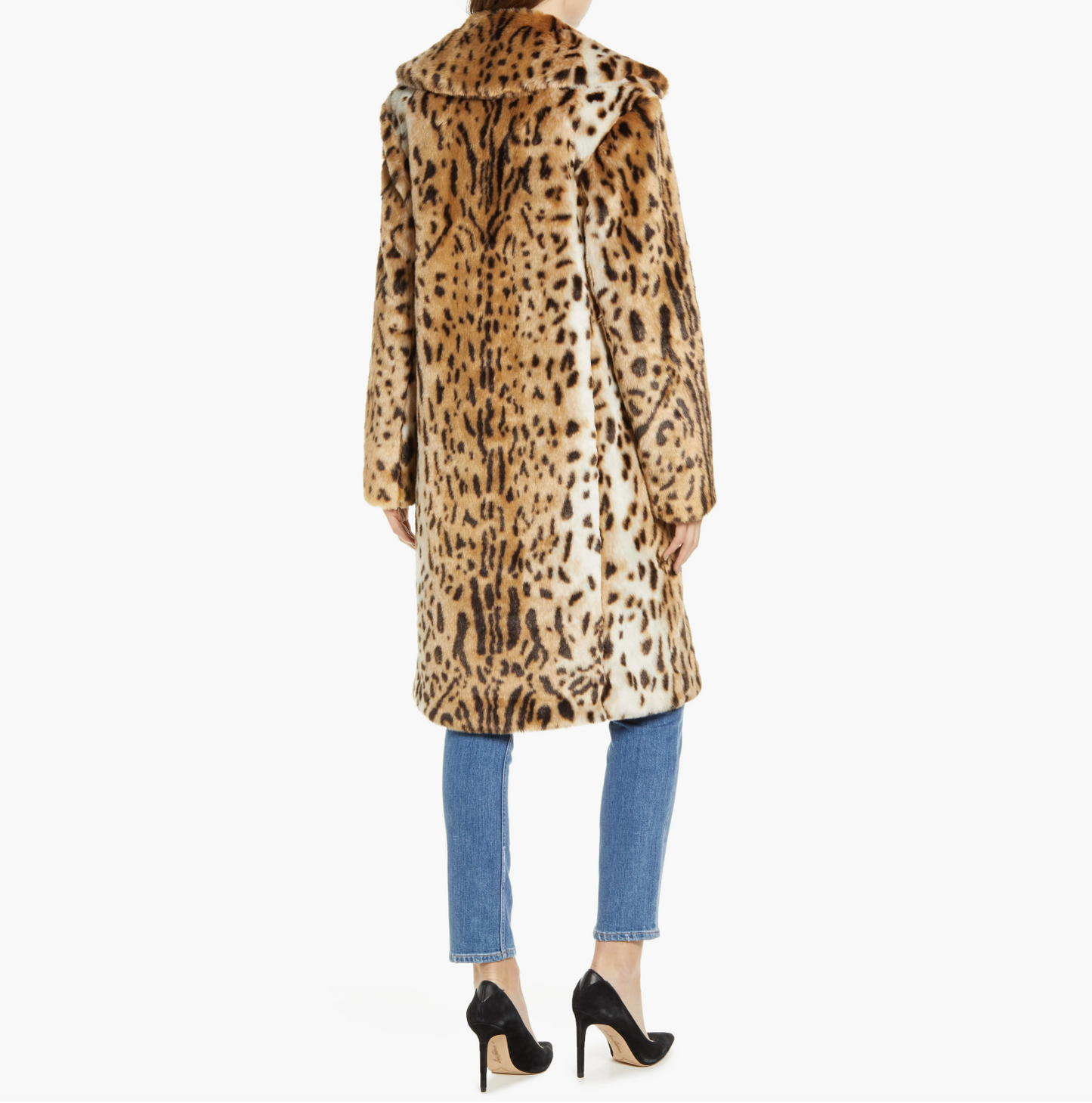 Elaine Coat - Jaguar