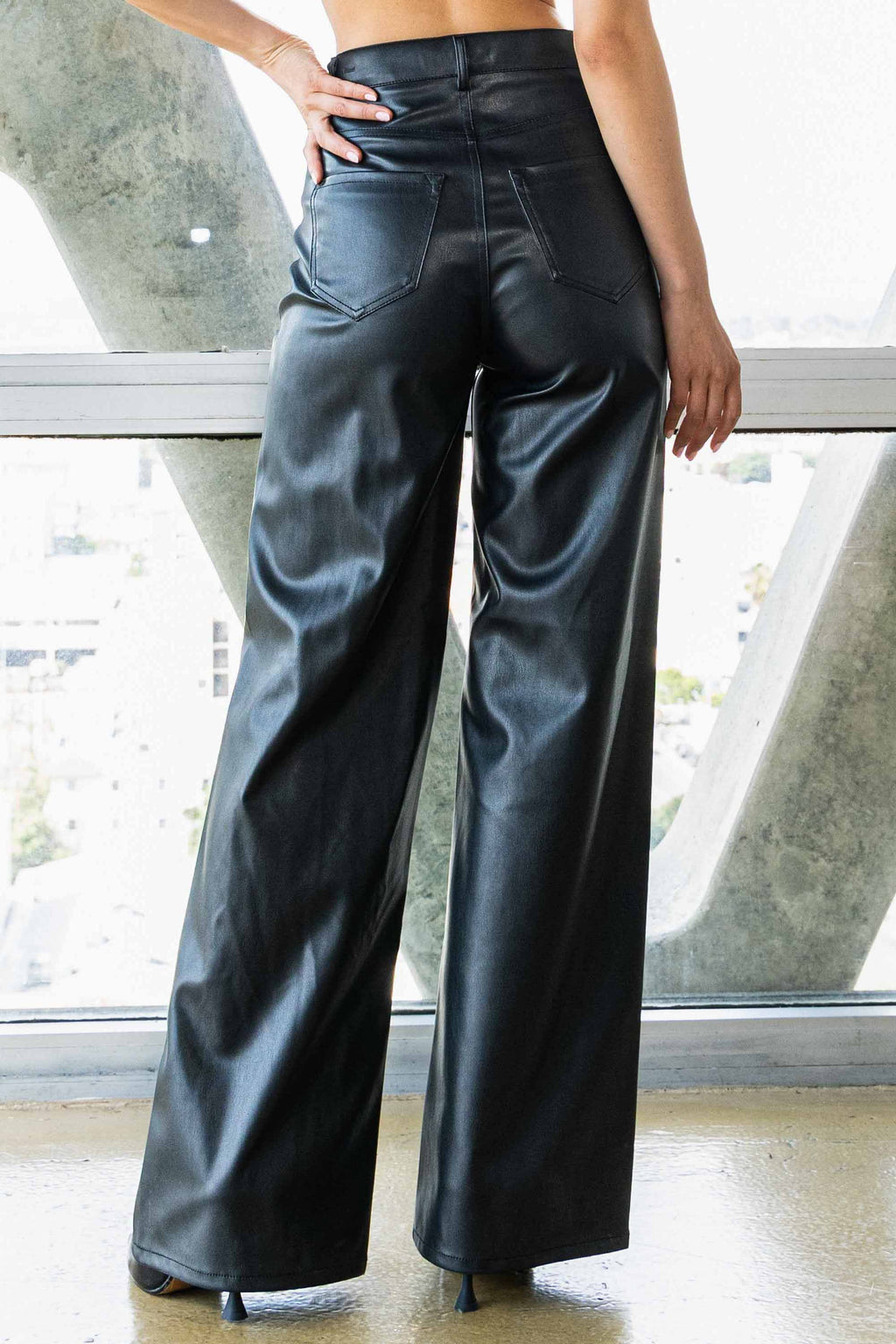 Ulysses Faux Leather Pants