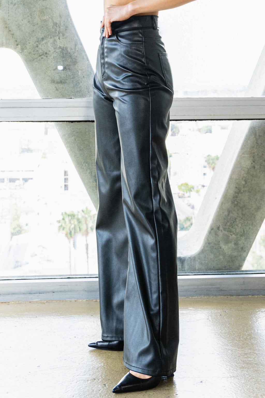 Ulysses Faux Leather Pants